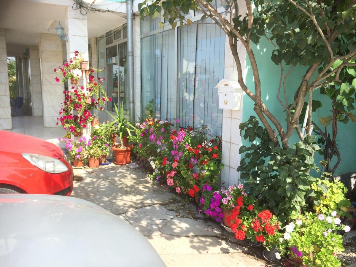 Pensiunea Simina Caransebeş エクステリア 写真